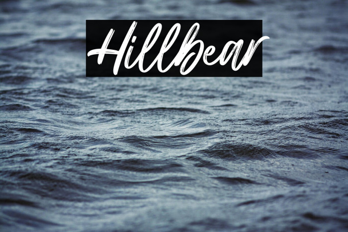 Hillbear Example 3