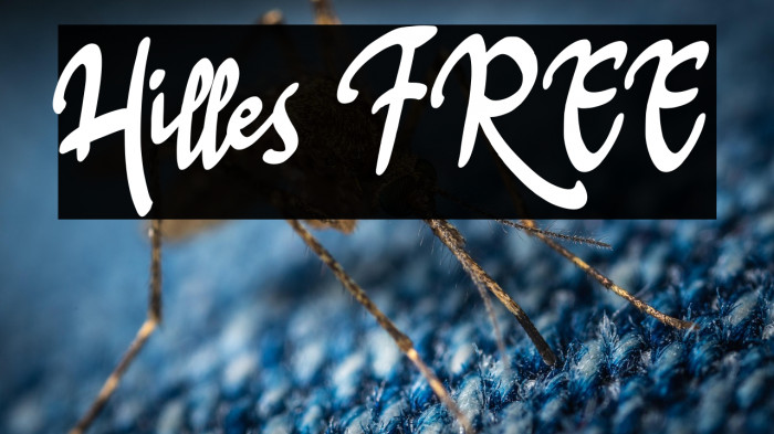 Hilles FREE Example 3