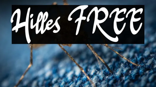 Hilles FREE Example 3