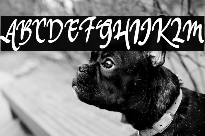 HillesFREE Example 3