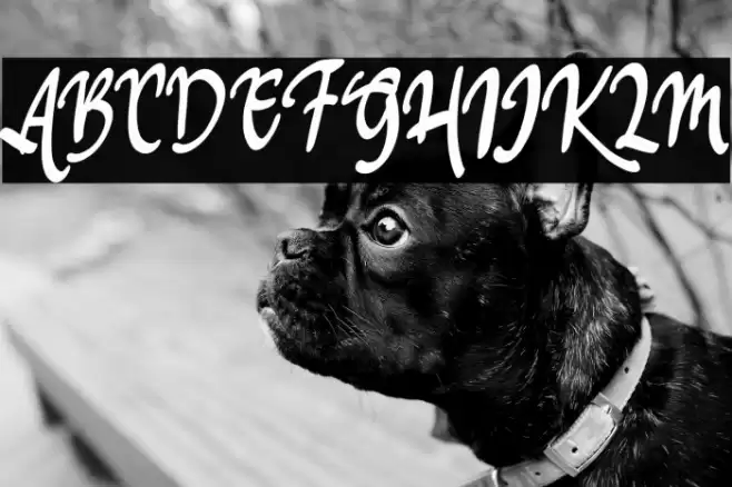 HillesFREE Font examples