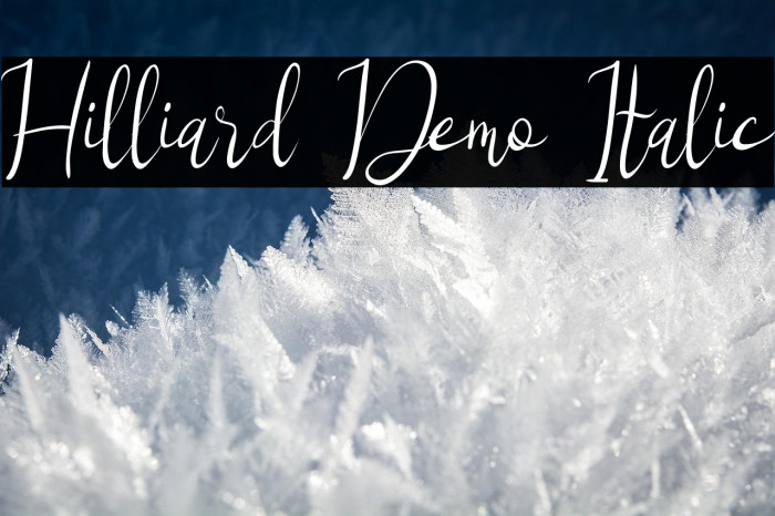 Hilliard Demo Italic Example 2