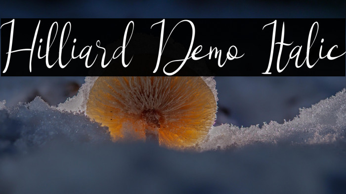 Hilliard Demo Italic Example 3