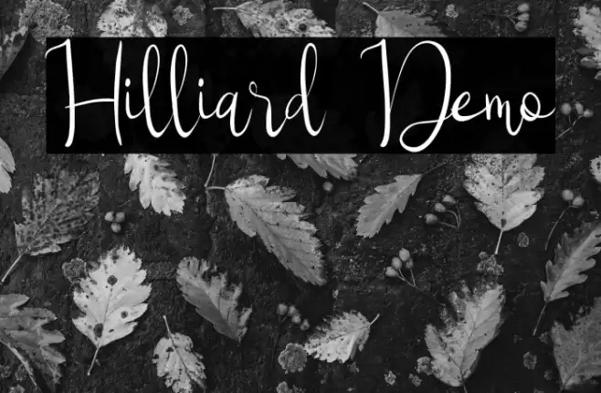 Hilliard Demo Font examples