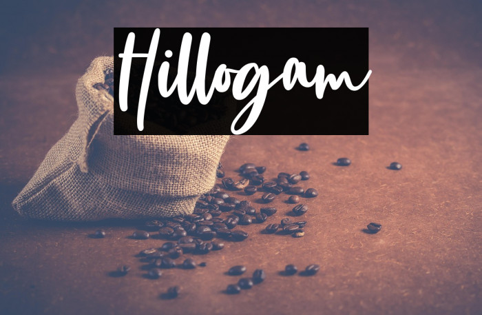 Hillogam Example 2