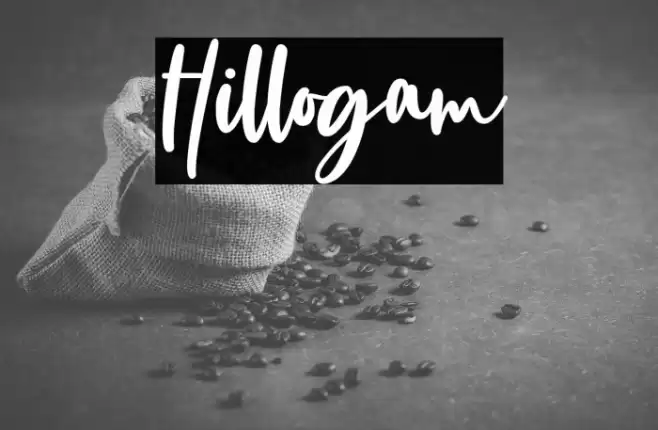 Hillogam Font examples