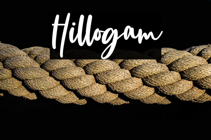Hillogam Example 3