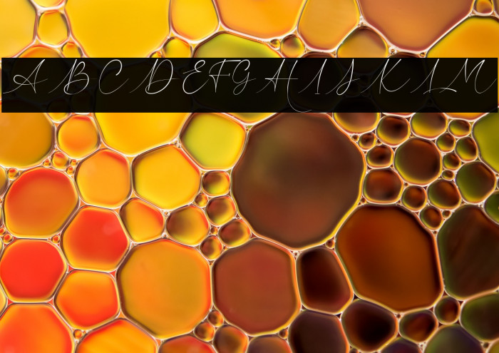 Hillonest Signature Example 3