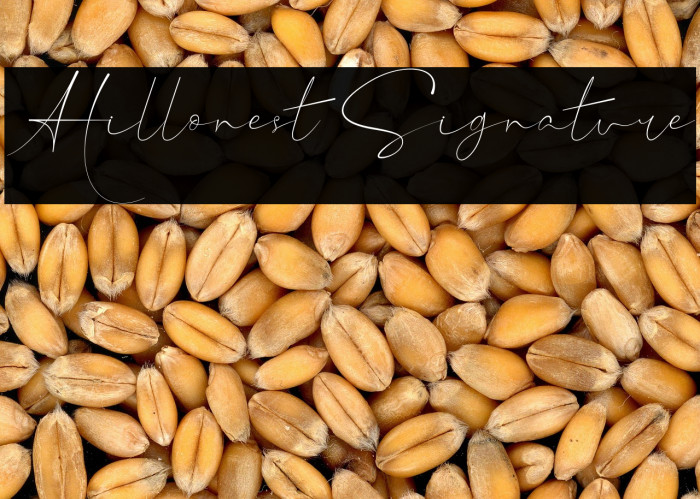 Hillonest Signature Example 1