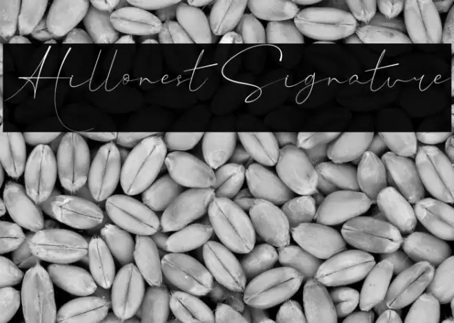 Hillonest Signature Font examples