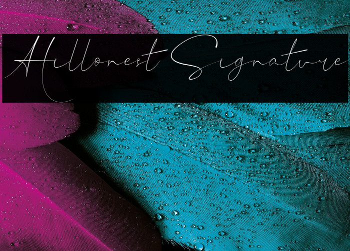 Hillonest Signature Example 2