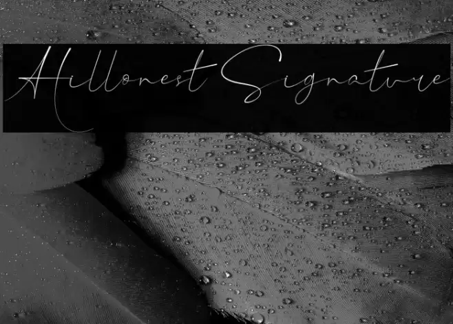 Hillonest Signature Font examples