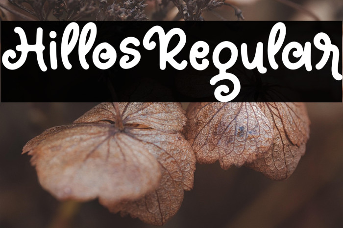 HillosRegular Example 1