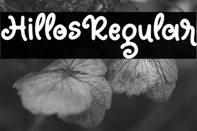 HillosRegular Font examples
