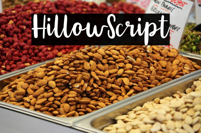 HillowScript フォント examples