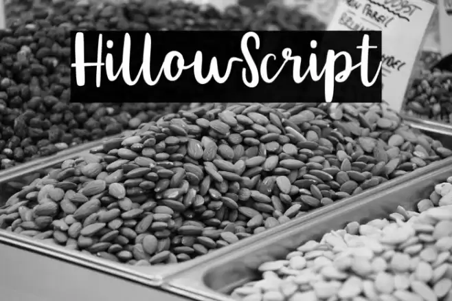 HillowScript Font examples