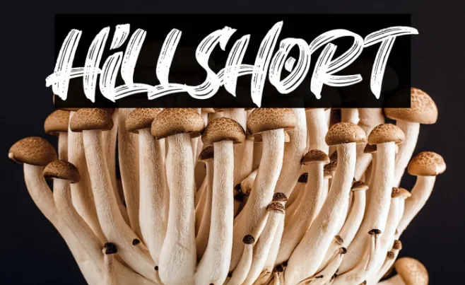 Hillshort Example 2