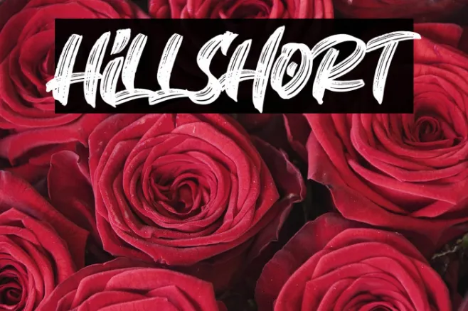 Hillshort Example 3