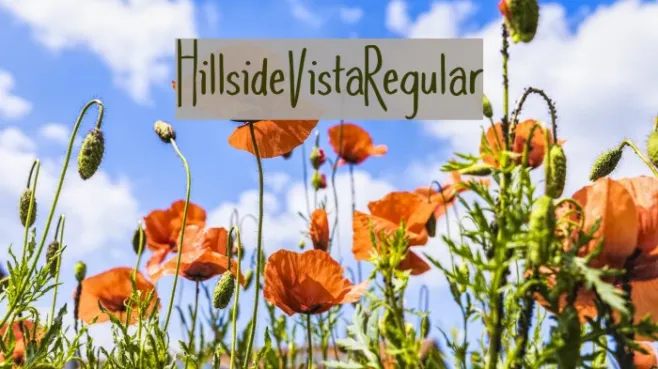 HillsideVista-Regular Example 3