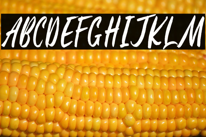 Hillstate Demo Example 2