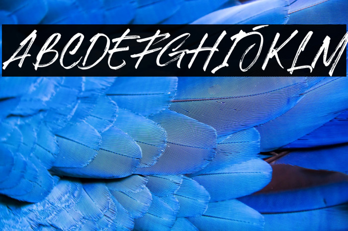 Hillstone Demo FPU Example 2