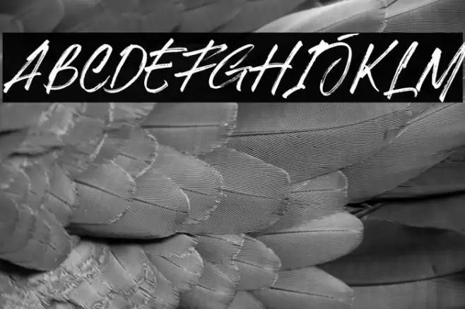 Hillstone Demo FPU Font examples