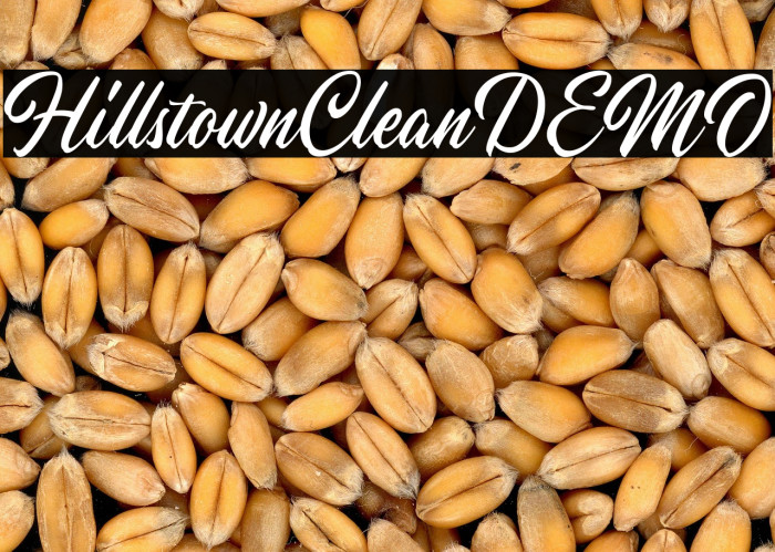 HillstownCleanDEMO Example 1