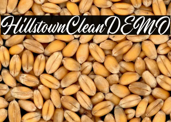 HillstownCleanDEMO Example 1