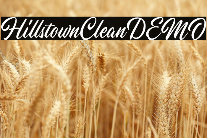 HillstownCleanDEMO Example 3