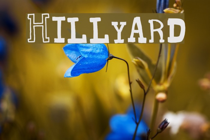 Hillyard Font examples