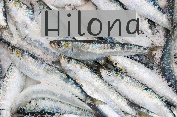Hilona Font examples