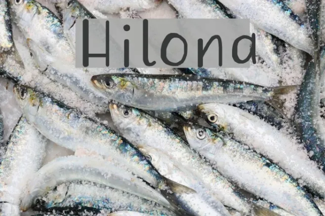 Hilona Example 1