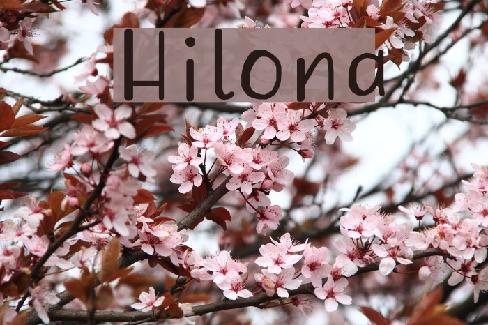 Hilona Font examples