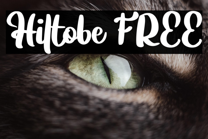 Hiltobe FREE Example 1