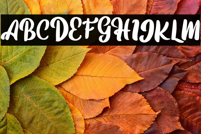 HiltobeFREE Example 1