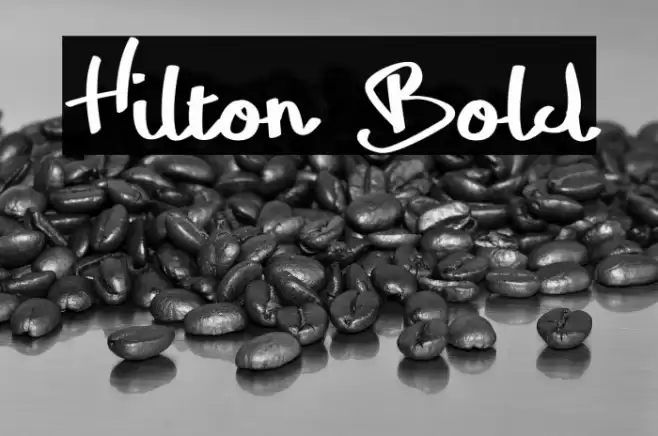 Hilton Bold Font examples