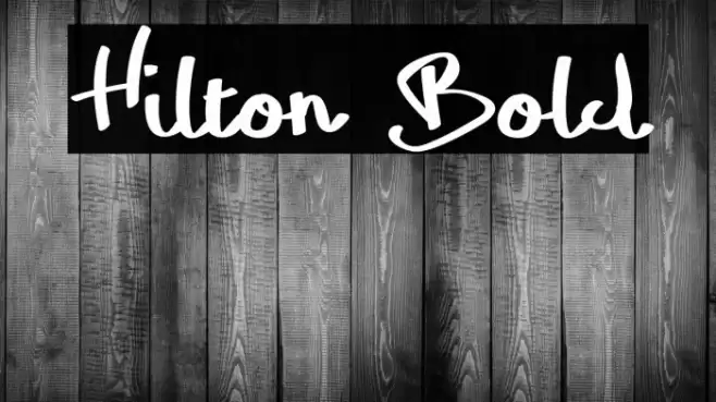 Hilton Bold Font examples