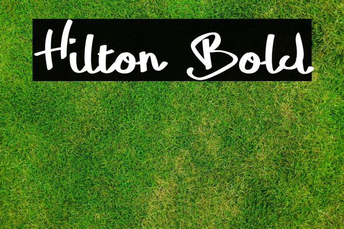 Hilton Bold Example 3