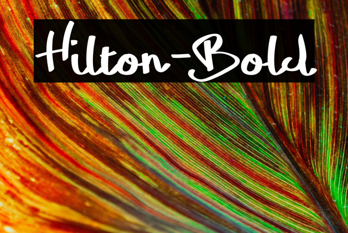 Hilton-Bold Example 1