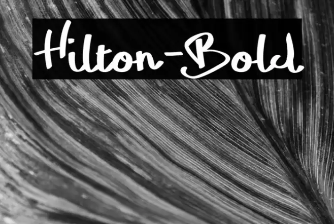 Hilton-Bold Font examples