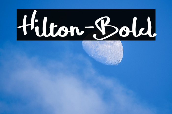 Hilton-Bold Example 2