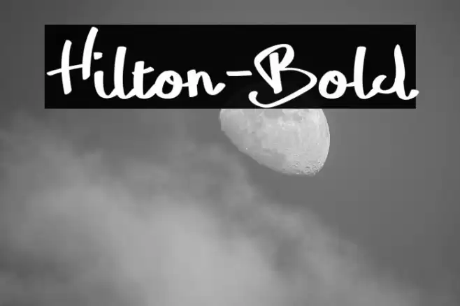 Hilton-Bold Font examples