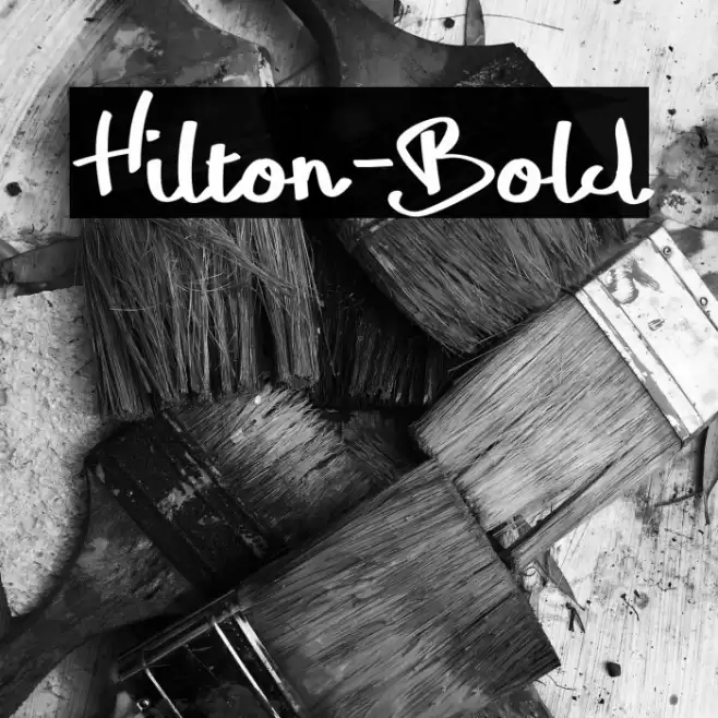 Hilton-Bold Font examples