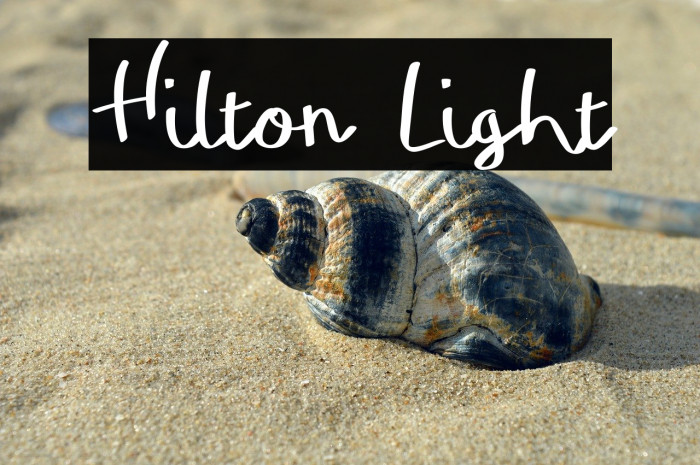 Hilton Light Example 1