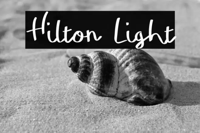 Hilton Light Font examples