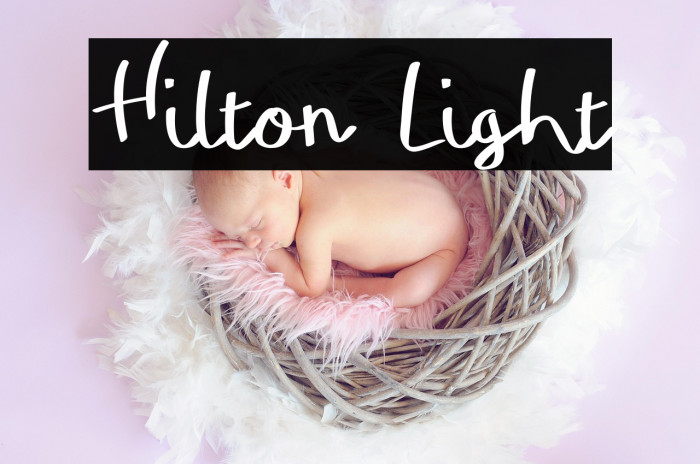 Hilton Light Example 2