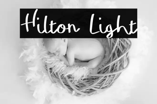Hilton Light Font examples