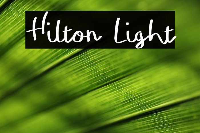 Hilton Light Example 3