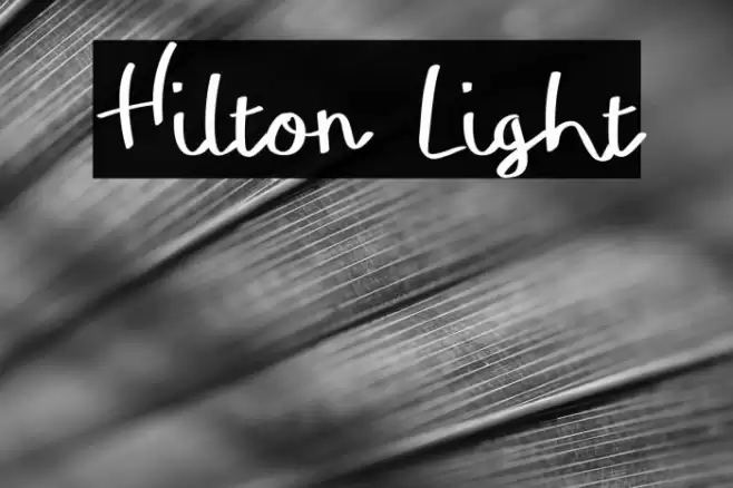 Hilton Light Font examples