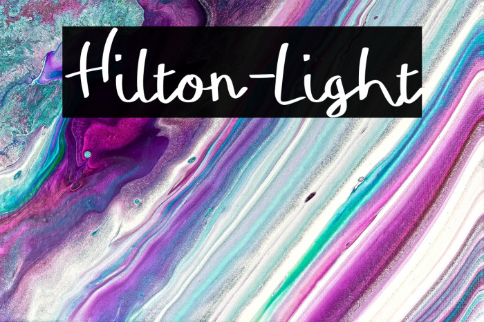 Hilton-Light Example 1